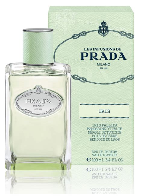 prada infusion d iris 50ml|Prada infusion d'iris reviews.